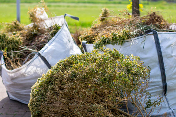 Best Household Junk Removal  in Boalsburg, PA